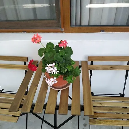 Къща Петрови *